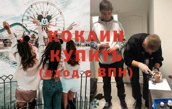 не бодяженный Бородино