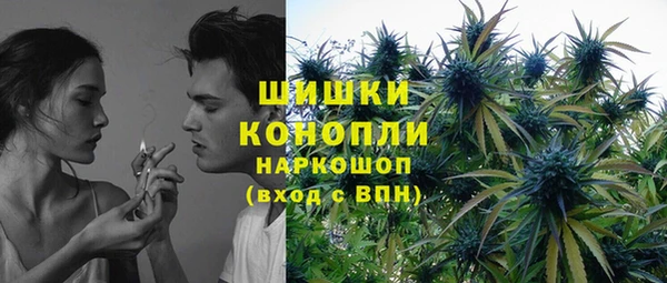 не бодяженный Бородино