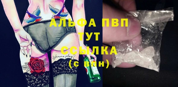 трава Инта